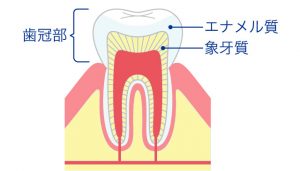 歯の黄ばみの原因は？